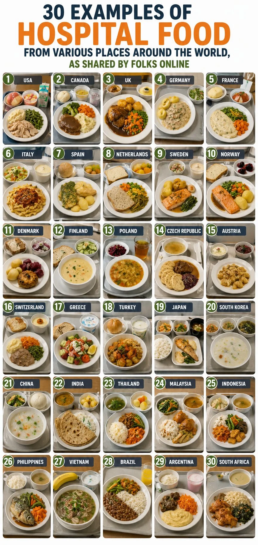 A variety of hospital food dishes served in different countries worldwide.