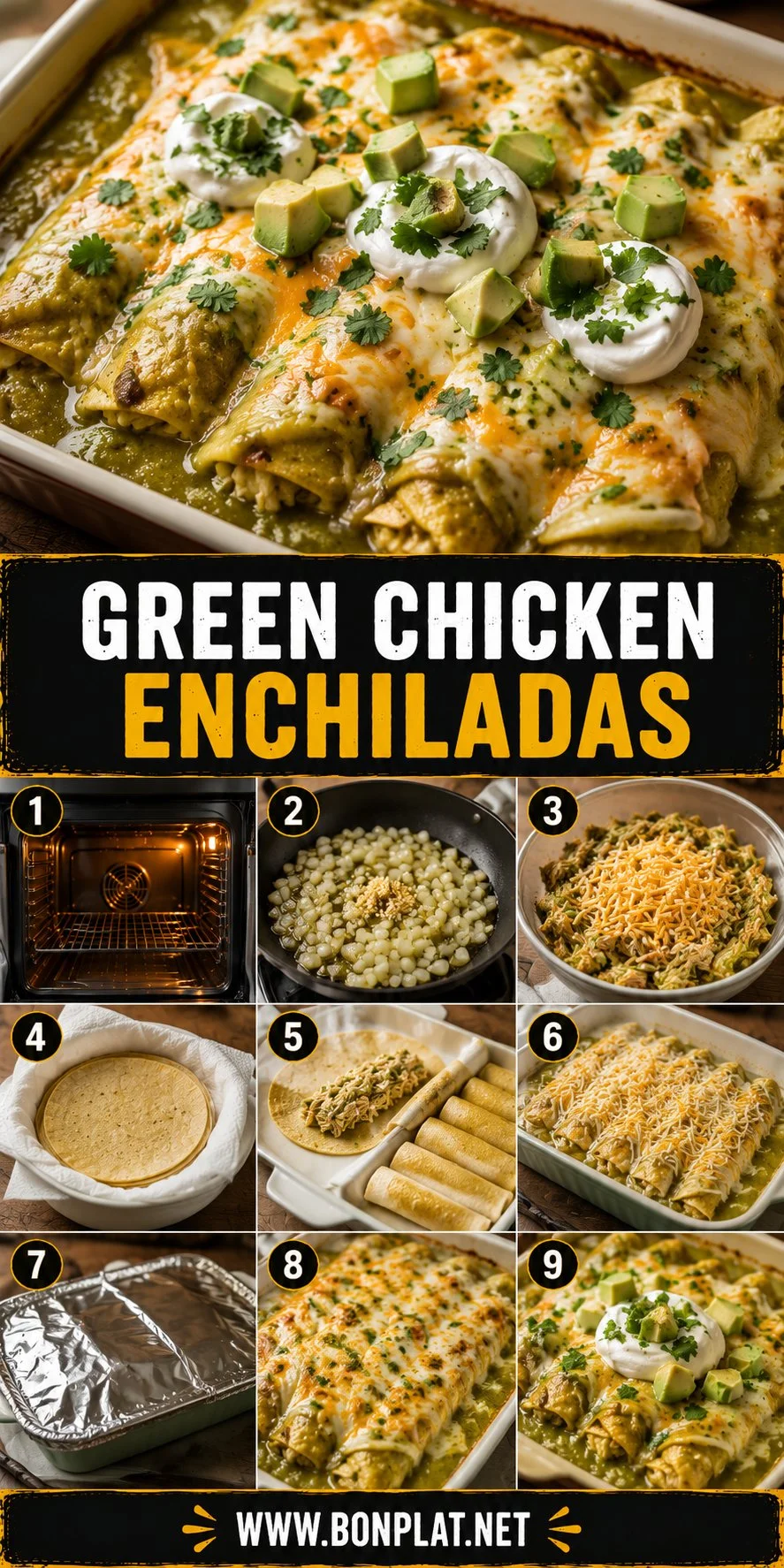 Plate of Green Chicken Enchiladas topped with salsa and cheese